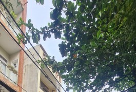 HIẾM-Bán nhà HXH 6M Nguyễn Hữu Tiến 56m2, 2Lầu-GẦN AEON